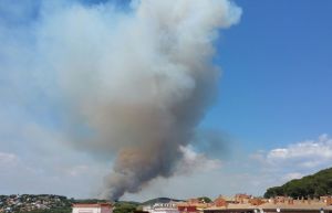 L'incendi vist des de la zona del Vilar, entre Blanes i Tordera