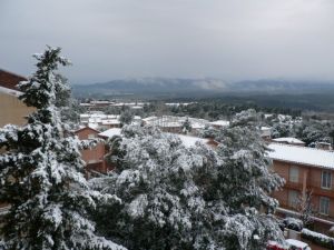 Vistes dels efectes de la primera nevada de la matinada a la montanya de Montjuïc
