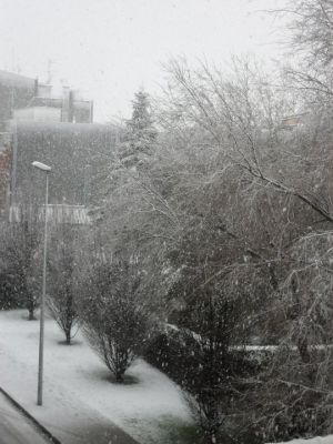Imatge de Figueres nevada
