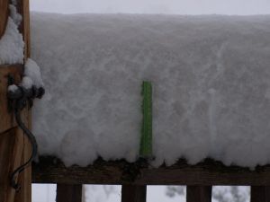 Aquest regla de 20cm deixa palès l'importància de la nevada a Sant Iscle de Colltort