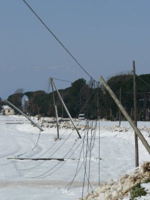 El cablejat telefònic de Cassà de la Selva no va poder resisitir el pes de la neu i el glaç acumulat