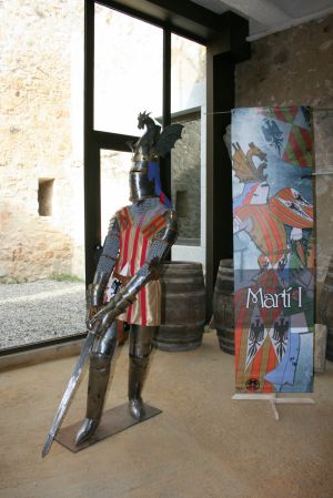 Representació de Martí I "El jove" (1376 - 1409). Va organitzar, entre d'altres fets, una expedició al nord d'Àfrica i va conquerir l'illa de Gerba.