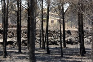 Una casa que ha sobreviscut a les flames de l'incendi de l'Alt Empordà