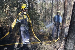 El foc de Vilopriu ha calcinat unes deu hectàrees de massa forestal i, a hores d'ara, els Bombers ja l'han donat per estabilitzat