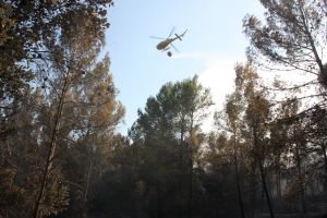 El foc de Vilopriu ha calcinat unes deu hectàrees de massa forestal i, a hores d'ara, els Bombers ja l'han donat per estabilitzat
