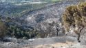 Controlat l'incendi forestal de Castell d'Aro que ha cremat unes 70 hectàrees