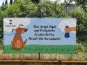 Porqueres ofereix 50 euros de descompte per a esterilitzar les mascotes