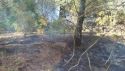 Detenen una dona per provocar un incendi mentre cuinava en una zona boscosa de Llançà