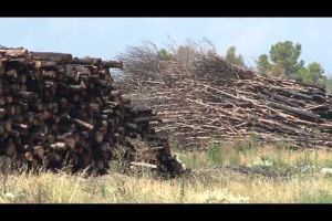 Recorden el foc de l'Empordà un any després