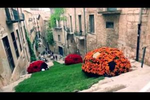 Temps de Flors: benvinguts a la primavera!