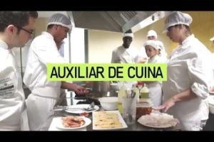 Una experiència d'ocupació juvenil en clau d'èxit