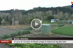 Voluntaris arreglen el sistema de reg dels horts de Besalú