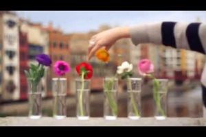 Un festival de sensacions: benvinguts a Temps de Flors!