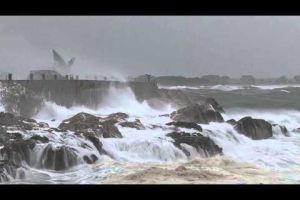 Efectes de la llevantada a l'Escala