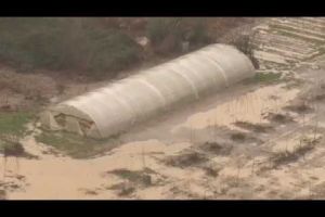 El temporal Glòria inunda Hostalric i deixa el Tordera a punt de desbordar-se