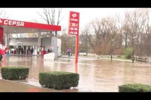 El Ter es torna a desbordar al barri de Pont Major de Girona