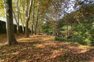 Olot endega una acció de neteja a la llera del Fluvià