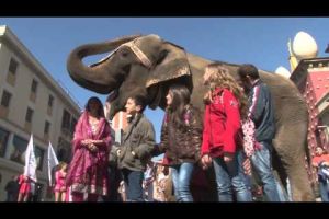 Un elefant es passeja per Figueres per promocionar el Festival del Circ
