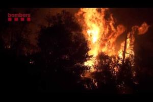 Incendi forestal a Madremanya