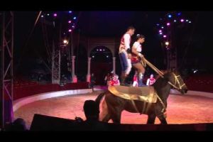 Figueres ja està a punt pel segon Festival Internacional del Circ