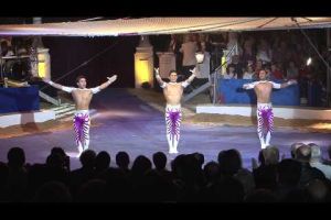 El Festival del Circ de Figueres sumarà més de 20.000 espectadors fins dilluns
