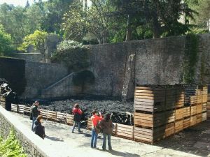 Molts curiosos s'han apropat a la plaça dels Jurats per prendre fotografies