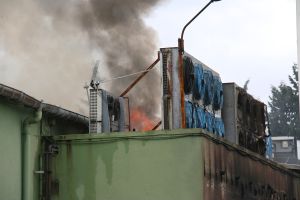 El foc ha cremat part de les oficines i càmeres frigorífiques de l'empresa