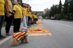 La Via Catalana, ben formada al llarg de l'avinguda Salvador Dalí de Figueres.