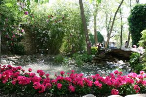 L'estanc dels jardins dels alemanys adornat amb flors i papallones de plàstic.