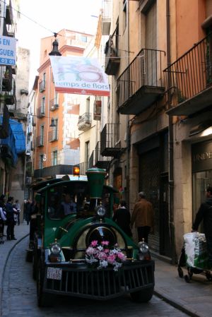 Molts visitants van aprofitar aquests dies per veure les zones turístiques amb el trenet Gerió.