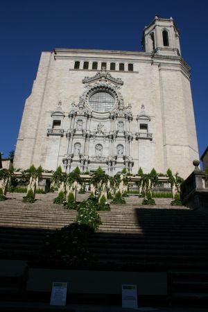L'escalinata de la Catedral vista des de baix.