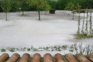 Un jardí de Celrà, amb la calamarsa que deixa blanca tota la gespa