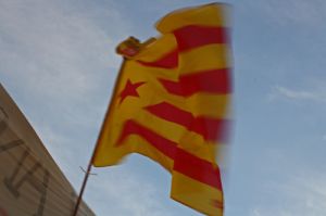 Estelades i senyeres van ondejar el cel