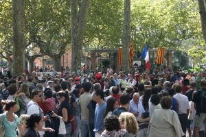 Un gran nombre de persones van voler presenciar aquesta recreació històrica