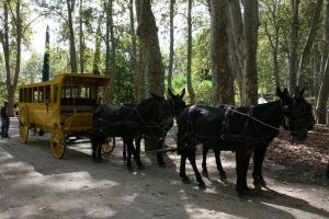 Tothom qui ho desitgés va poder gaudir d'un passeig per la Devesa fet amb un carruatge del segle XIX. També hi havia una caravana de ruquets per a la mainada