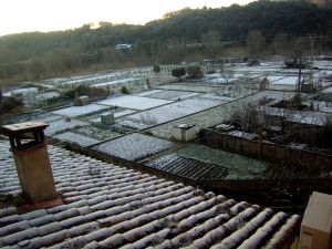 Els horts de Besalú (Garrotxa) també van patir els efectes de la nevada