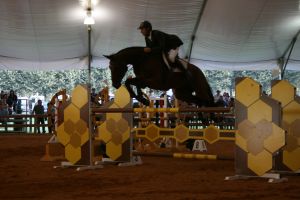 Concurs de salts d'obstacles amb cavalls