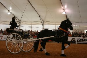 Volteig amb carruatge