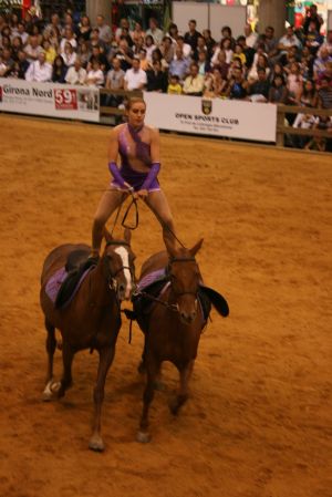 Aquest és un dels espectacles variats que s'hi van fer, tot i que el de més expectació va ser 'l'Esperit Amic'