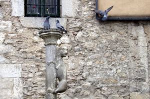 Els únics que visiten l'escultura de la lleona de Girona són els coloms