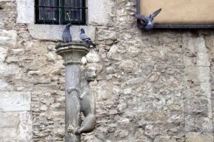 Els únics que visiten l'escultura de la lleona de Girona són els coloms