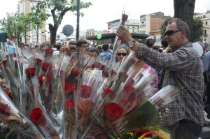 Un home escull una rosa d'una parada a Girona.