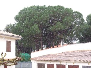 A l'Escala també queien les primeres volves de neu