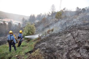 El foc ha cremat tres hectàrees i s'han desallotjat preventivament 35 veïns de la zona de Torre Gironella