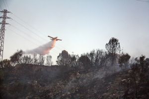 El foc ha cremat tres hectàrees i s'han desallotjat preventivament 35 veïns de la zona de Torre Gironella