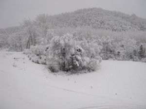 Paisatge nevat a Sant Feliu de Pallerols