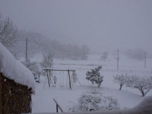 Pati d'un habitatge situat a la montanya de Sant Iscle de Colltort, prop d'Olot