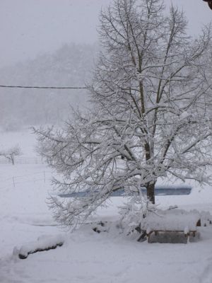 Calma a dos quarts d'onze a Sant Iscle de Colltort