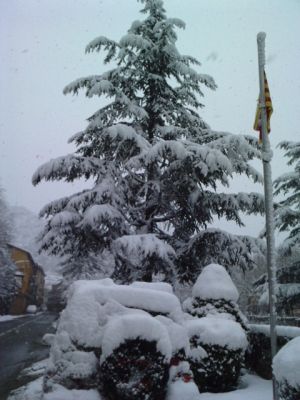 Ribes de Freser tampoc ha escapat del temporal