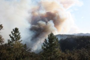 El foc que està cremant una zona muntanyosa prop del municipi de Santa Cristina d'Aro